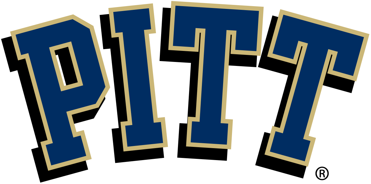 Pittsburgh Panthers 2005-Pres Primary Logo iron on transfers for clothing